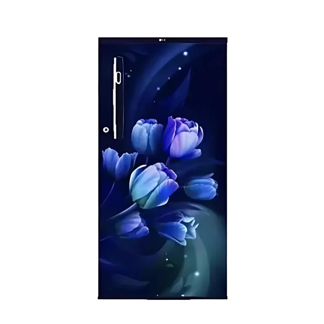 LG LG-B199OBTB Refrigerator Blue Tulip Single Door 1 Star 175 Ltr